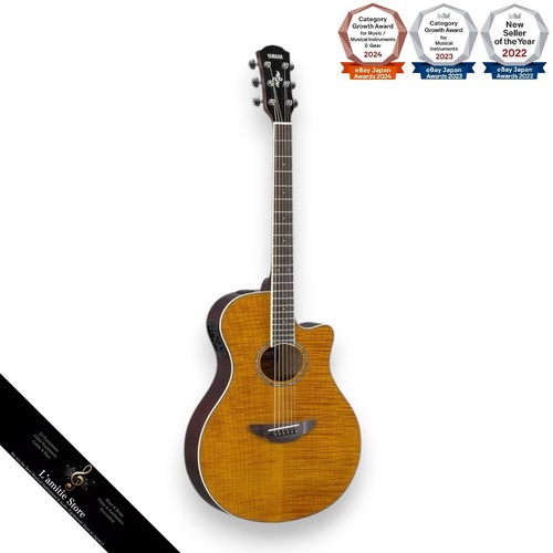 Guitare acoustique électrique