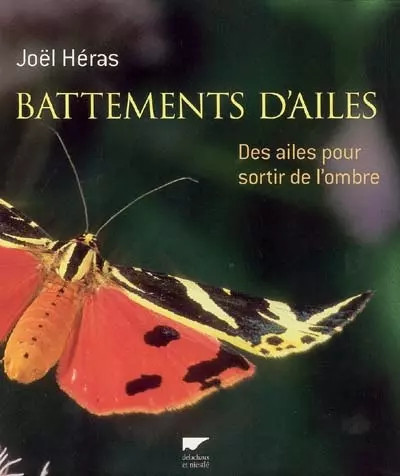 Battements ailes des - des,