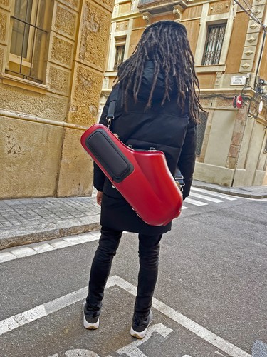 étui saxophone ténor - saxophone,