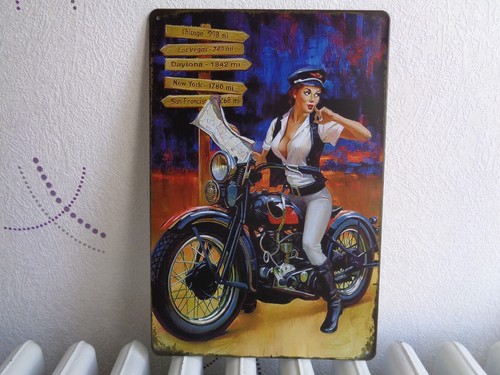 Tole metal moto pin - tole,