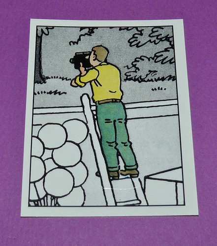 Panini tintin herge - n°47,