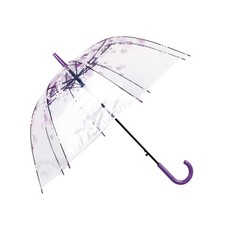 Femme Parapluie Transparent