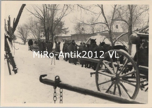 Photo wehrmacht avec chevaux - wehrmacht,