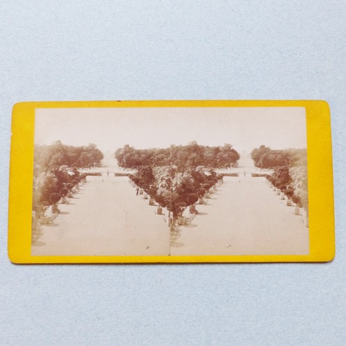 Photo stereo paris jardin - ,,