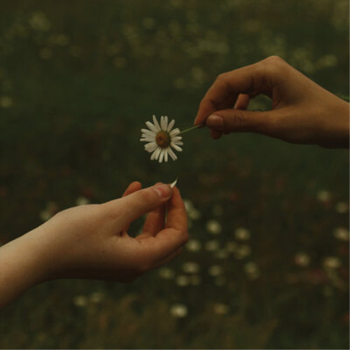 Goldmund the time takes - it,
