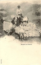 CARTE POSTALE SUISSE BERGERE
