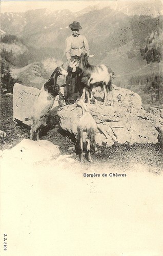 Carte postale suisse bergere - carte,
