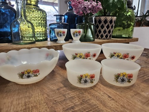 Lot arcopal france verre - arcopal,