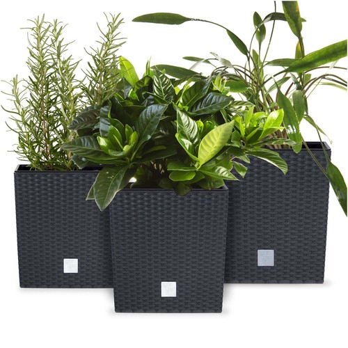 Pot fleurs de - 3,