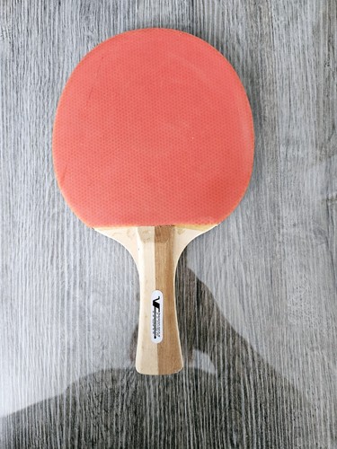 Raquette ping pong vitory - raquette,