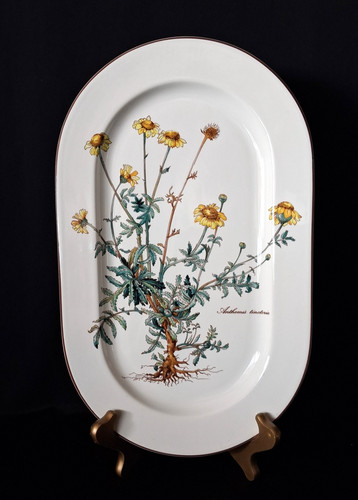 Villeroy boch botanica - villeroy, &