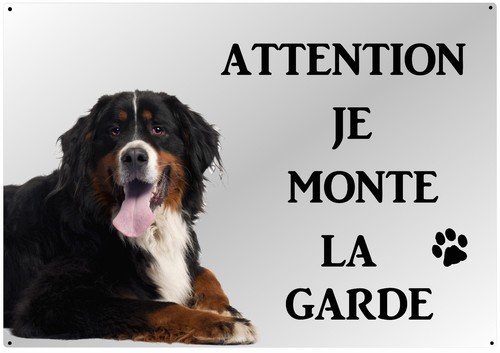Plaque métal chien garde - chien,