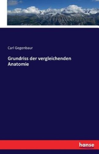 Grundriss der vergleichenden - grundriss,