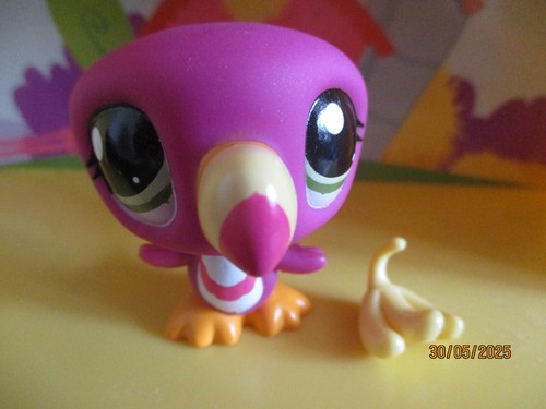 Petshop toucan 2527 - petshop, #2527