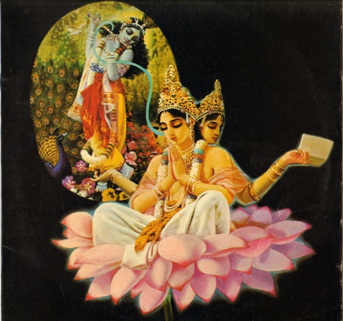 Temple radha krishna live - radha, "live