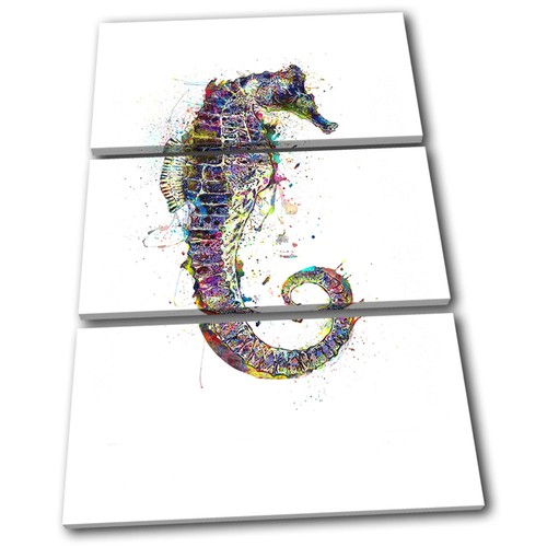 Seahorse ocean colourful - ocean,
