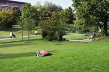 Husqvarna Mähroboter AM 550