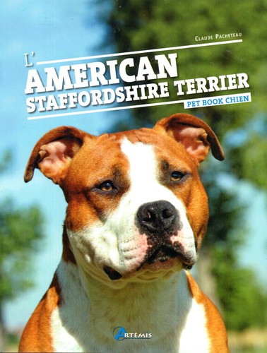 American staffordshire - l'american,