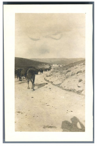 Proche orient caravane de - caravane,