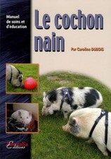 Cochon nain manuel - le, de