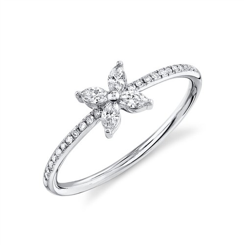 14k blanc marquise coupe - 14k, or
