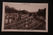 Carte postale: Costumes de