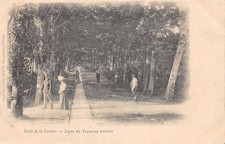 17-FORET DE LA COURB-TRAMWAY FORESTIER-N 6009-D/0375