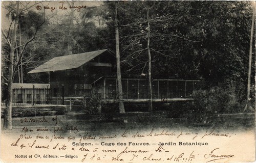 Cpa vietnam saigon cage des - vietnam,