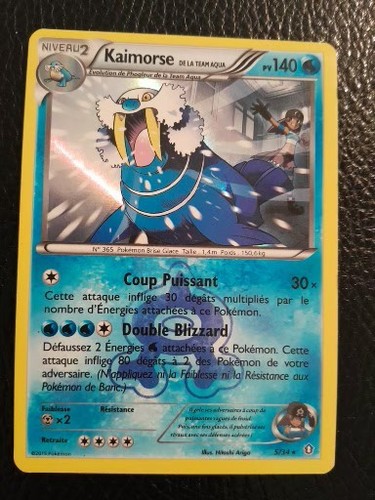 Kaimorse holo team aqua 34 - aqua, 5/34
