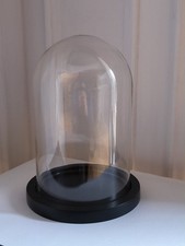 Globe en verre. H 25 cm Diamètre 18 cm