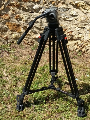 Cartoni hidv tète video - hidv,
