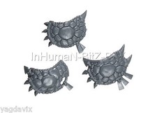 ZS11 BOUCLIER x3 SAURUS HOMME