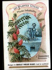 IMAGE CHROMO CHOCOLAT POULAIN