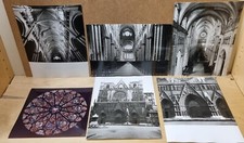 6 magnifiques photos