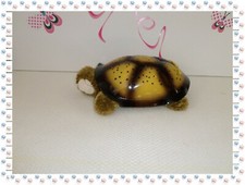 ~   - Veilleuse  Tortue Beige