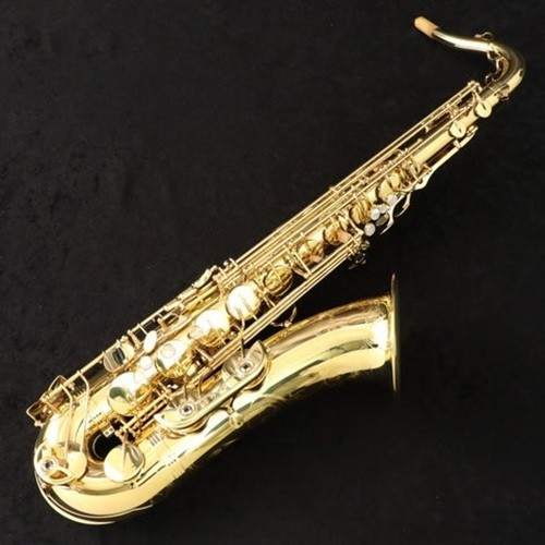 Yanagisawa wo10 tenor - yanagisawa, /