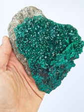 Amas de Dioptase du Congo 461g spécimen minérale de collection