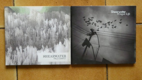 Lot shearwater - lot,