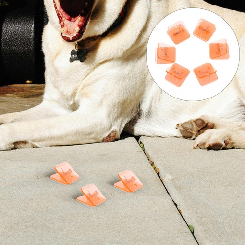 Pièces clair chien - clair,