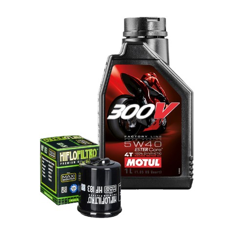 Set entretien huile - set, 300v
