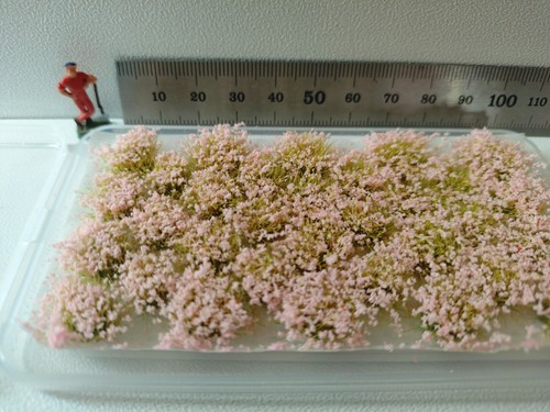 Fleurs plante miniature ho - miniature,