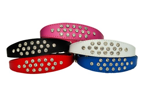 Collier cuir pour - pour, chien