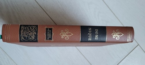 Livre dominique par fromentin - par,