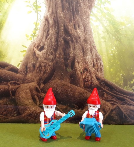Playmobil lutins des bois nain - playmobil,