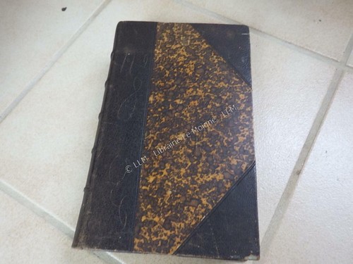 1861 flore des environs - des,