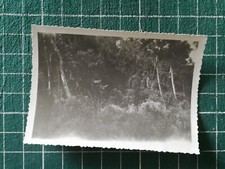 yb063 PHOTO Indochine circa