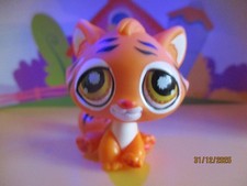 Petshop Tigre #905 / Version