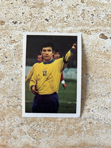 245 vojislav melic football - vojislav, en