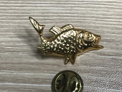 Pins poisson carpe pêche - pins,