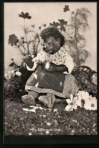 Carte postale mecki épingle - postale,